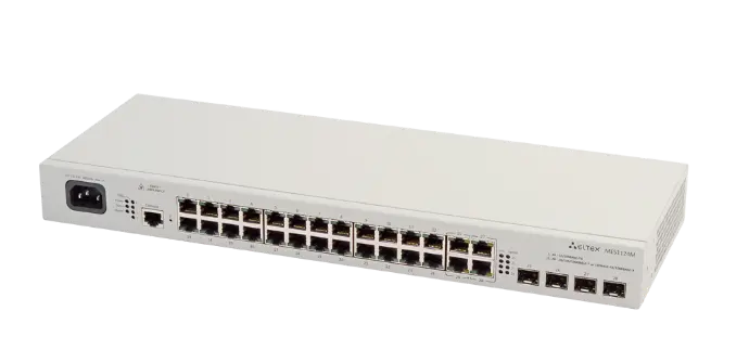 Ethernet Access Switch MES1124M